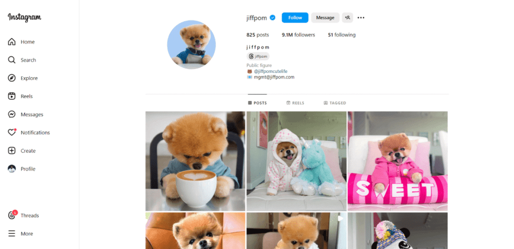 jiffpom on Instagram